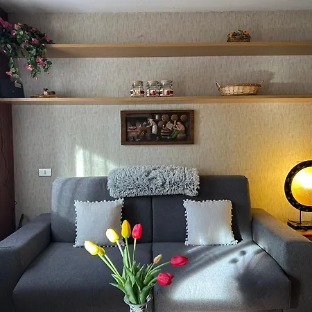 Cervinia Mountain View شقة