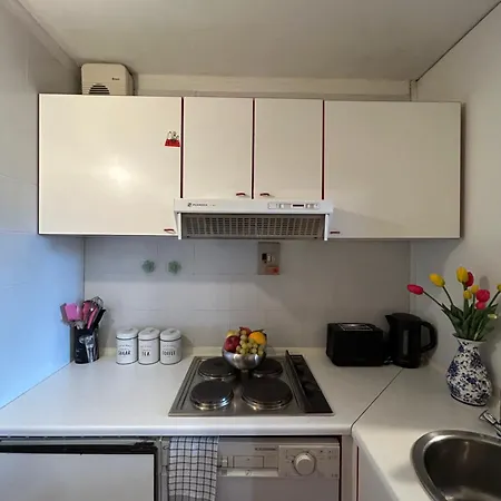 Cervinia Mountain View * 브루일서비니아