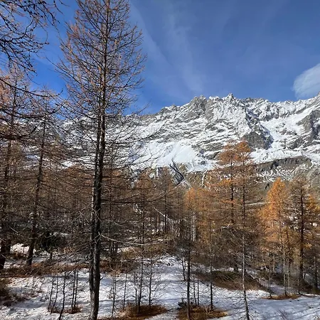 Cervinia Mountain View דירה ברויל-קרוויניה